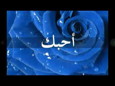 احبك وعلم انك لست لي