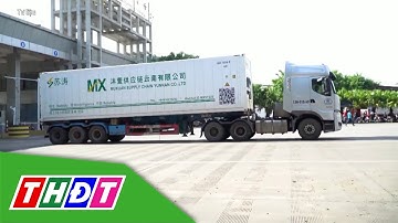 Xuất khẩu rau quả tăng vọt, đạt kỷ lục 1,3 tỷ USD trong 20 ngày | THDT