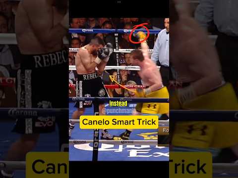 BEST CANELO PUNCH