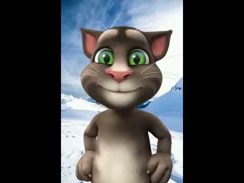 Thand Bhut Hogi Nahaya Na Kro Funny Talking Tom Cat