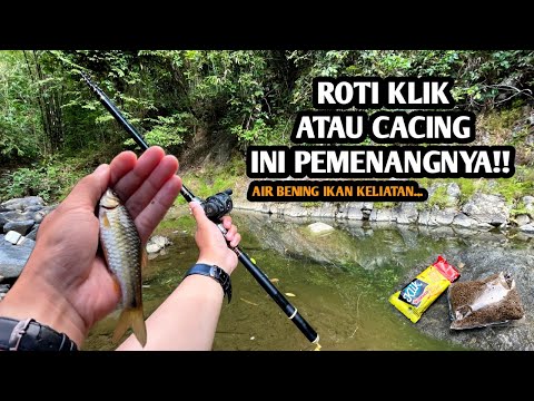 AIR BENING IKAN