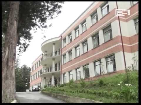 4 თვეში პრემიის სახით გაცემული 63 ათას 355 ლარი საკანონმდებლო ორგანოში