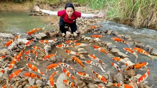 How young girl catches GIANT fish using a simple rock stacking technique