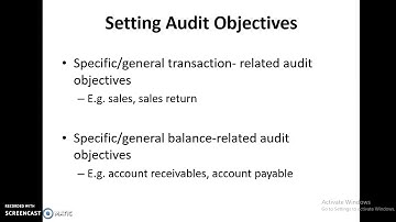 AUD589 Topic 3a Scope of Financial Statement Audit