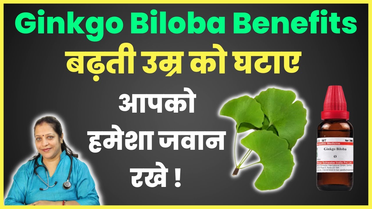 Ginkgo Biloba Q Benefits आपको हमेशा रखे जवान Homeopathic medicine