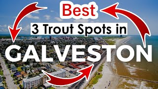 Best 3 Spots for Catching Speckle Trout | Trout Fishing Galveston Texas