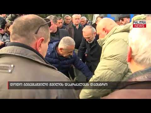 დოდო გუგეშაშვილი შვილის დაკრძალვას დაესწრო