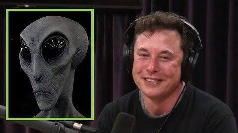 Elon Musk: "IM AN ALIEN" w/ Joe Rogan
