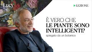 È vero che le piante sono intelligenti? La lezione di Stefano Mancuso | Lucy  Sulla cultura