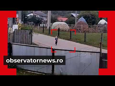 4-year-old child searched for by 250 people, found dead. He drowned a few hundred meters from home