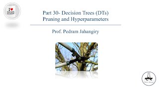 Famous Part 30-Cost complexity pruning and other hyperparameters in decision trees Net Worth