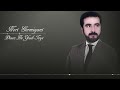   نۆری گەرمیانی     دیسان بە یادی تۆیا  