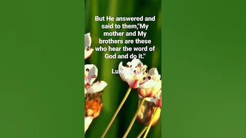 MY MOTHER AND MY BROTHERS@arisesh...  #bible #jesus