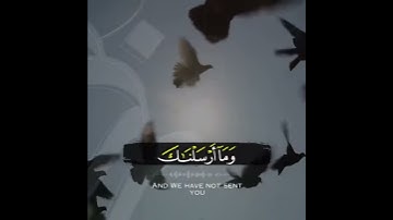 تلاوة تسعد روحك❤بصوت اسلام صبحي حالات واتس اب قرآن