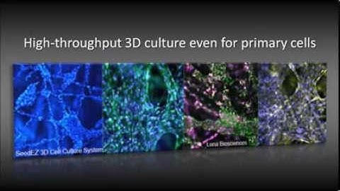 SeedEZ 3D cell culture system at a glance