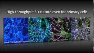 SeedEZ 3D cell culture system at a glance