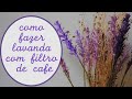 Como fazer lavanda com filtro de café