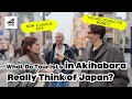 "Everything is Cheap!" 🇯🇵 Akihabara Street Interview:The best travel value [Unfiltered Japan]