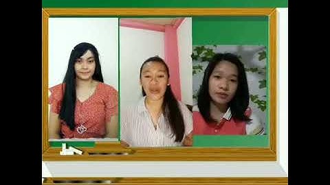 REPORTING SEGMENT AND INTERIM FINANCIAL PERIOD.