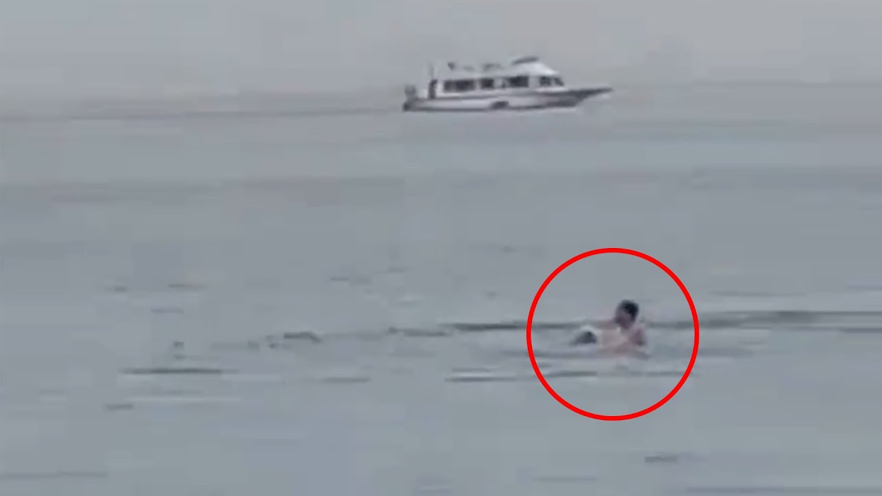 hurghada russian tourist shark attack