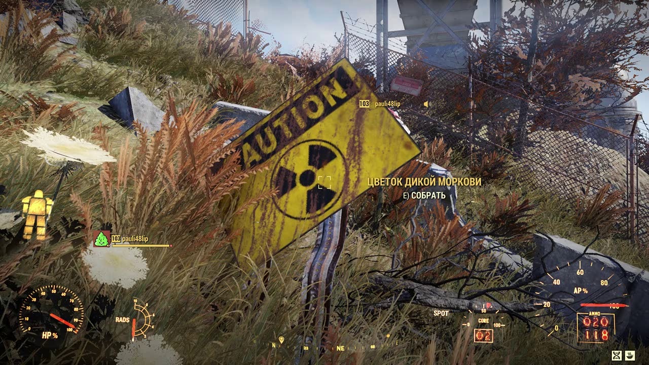 Карта сокровищ дикого рубежа 1 fallout 76
