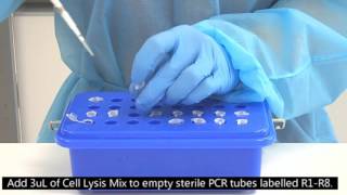 Cell Lysis
