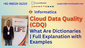 What Are Dictionaries 📚 in Informatica CDQ? | Full Explanation ✨ with Examples 📊