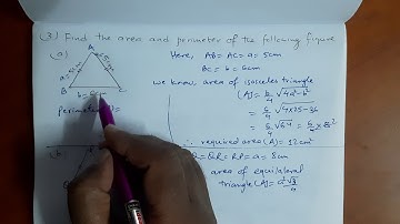 How to find area & perimeter of isosceles & equilateral triangles/ Class 8/ Experience Maths
