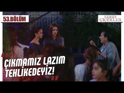 Yurtta bomba telaşı! - Kırgın Çiçekler 53.Bölüm