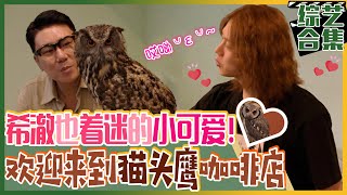 [我家的熊孩子] (中字)🦉金希澈日本猫头鹰咖啡店访问记！ 听说猫头鹰的屎💩会给人带来福气...?😂 会得到福气的人将会是?!