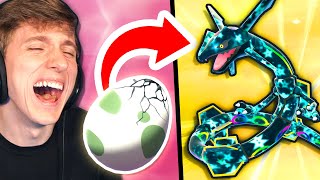 15 Random Eggs To Build a Team in Pokemon Sword, Then We Battle!