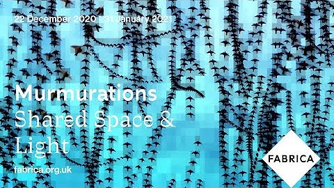 Murmurations by Shared Space & Light (2021)