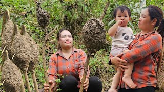 The girl went into the forest to get ant eggs to sell. On the way back, she picked up a lost child by Lý Thị Chanh 12,057 views 1 month ago 29 minutes