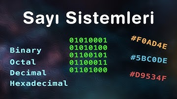 Bilgisayar Bilimlerinde Sayı Sistemleri | Binary, Octal, Decimal ve Hexadecimal