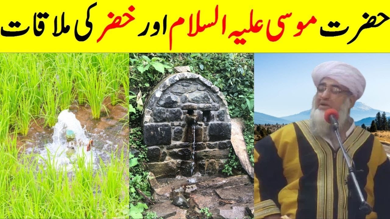 Hazrat Khizar (A.S) story | Hazrat Khizar aleh salam kon hai | Story of khidr | Mufti Zarwali Khan