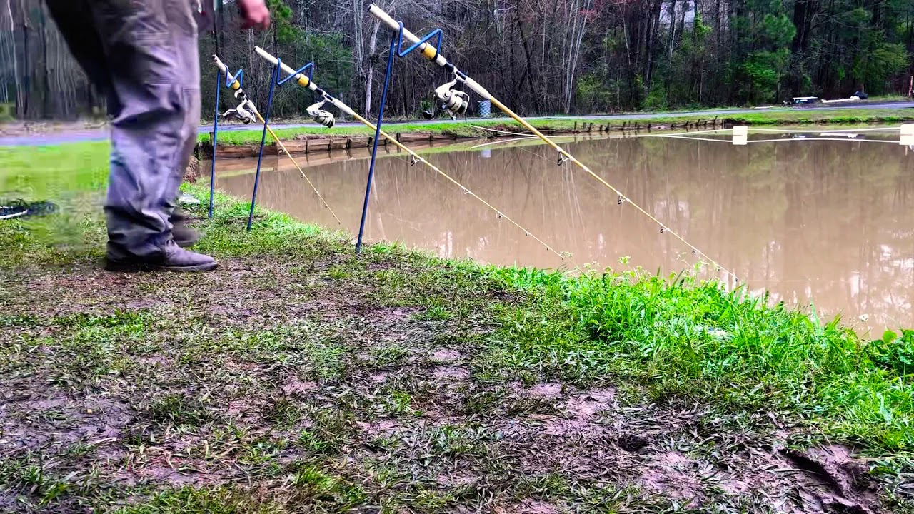 Pay Lake Rods Pay lake carp fishing1 - YouTube