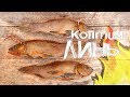 КАК КАРП, НО НАМНОГО ВКУСНЕЕ! ЛИНЬ ХОЛОДНОГО КОПЧЕНИЯ