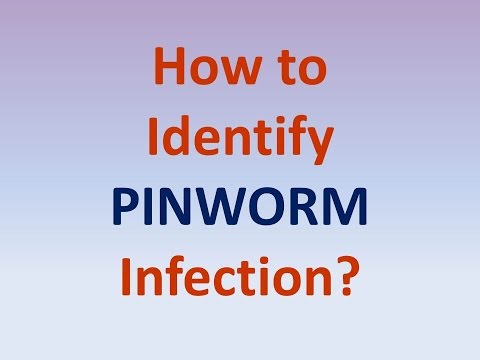 Video: Pinworms Hos Voksne: årsager, Symptomer, Diagnose Og Behandling