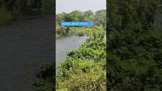 SCENIC NATURE ESCAPE 🌄 | TRANQUIL RIVER FLOW 🌊