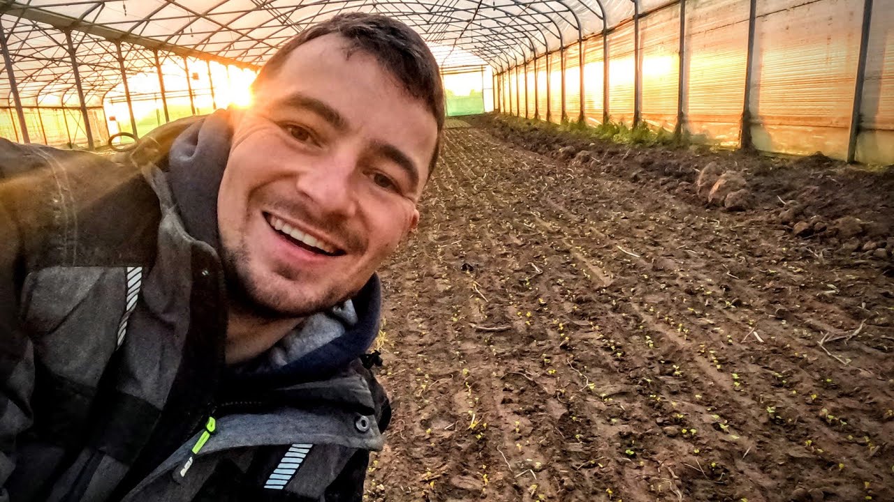 Récolte des carottes, semis des radis et encore une bêtise avec mon chariot élévateur