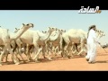 منقية محمد بن سعد الحمالي 