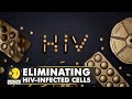 Hope for hivaids cure kick and kill strategy for hivinfected cells  world english news