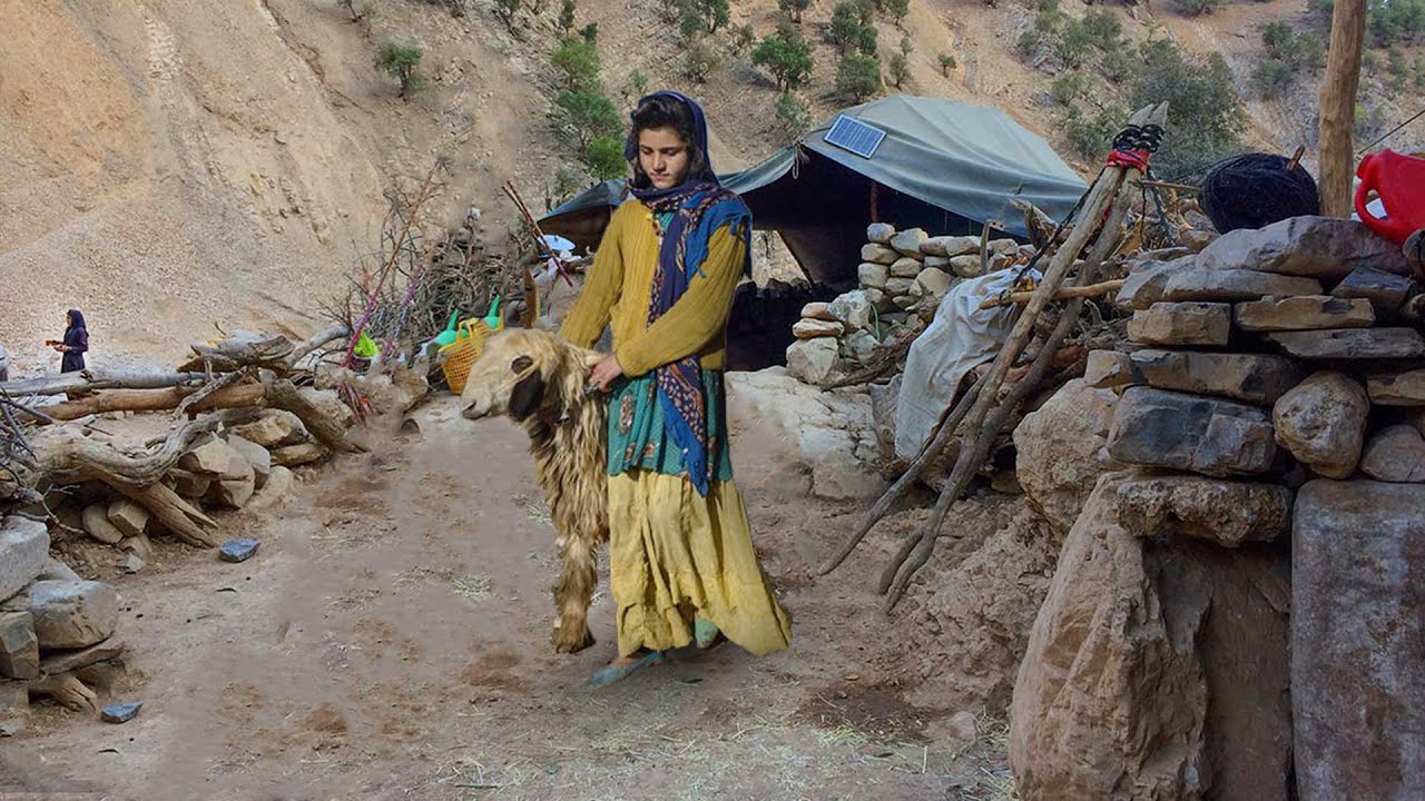 Camping of nomads after migration - nomadic lifestyle of IRAN - You ...
