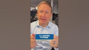 AI-partnerschap moet pythonbestrijding in de Everglades stimuleren