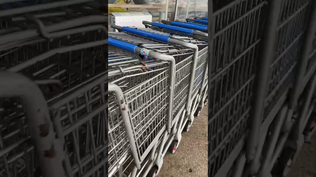 🛒WALMART SHOPPING CART WITH THE ASIAN MALL SHOPPING CARTS