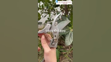 Kéo Cắt Tỉa Cành Thép SK5 Kapusi Nhật Bản