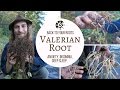 Valerian - Back to Your Roots with Yarrow Willard Cl.H | Harmonic Arts