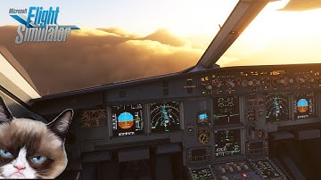 Microsoft Flight Simulator | Fenix A320 | CAT lllc Autoland