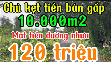 Chủ kẹt tiền bán gấp 1 công đất mặt tiền đường nhựa giá 120 triệu/1000m2 TP,Vị Thanh Hậu Giang