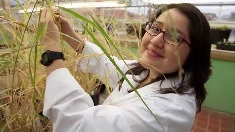 The Freshman Research Initiative at UT Austin